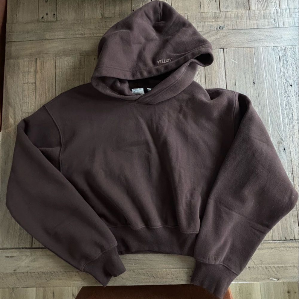 Aritzia hoodie